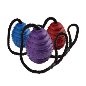 Classic Pet Products Rubber Oval Ball on a Rope Dog Toy - Small