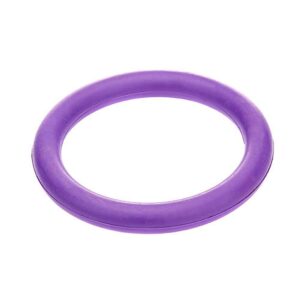 Classic Pet Products Solid Rubber Ring Dog Toy - Large Purple
