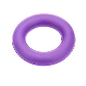 Classic Pet Products Solid Rubber Ring Dog Toy - Small Purple