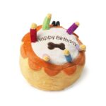 House of Paws Birthday Cake Small Dog Toy