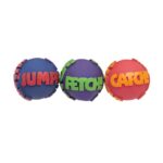 Rosewood Jolly Doggy My Word Ball Dog Toy